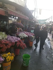 بازار گل محلاتی