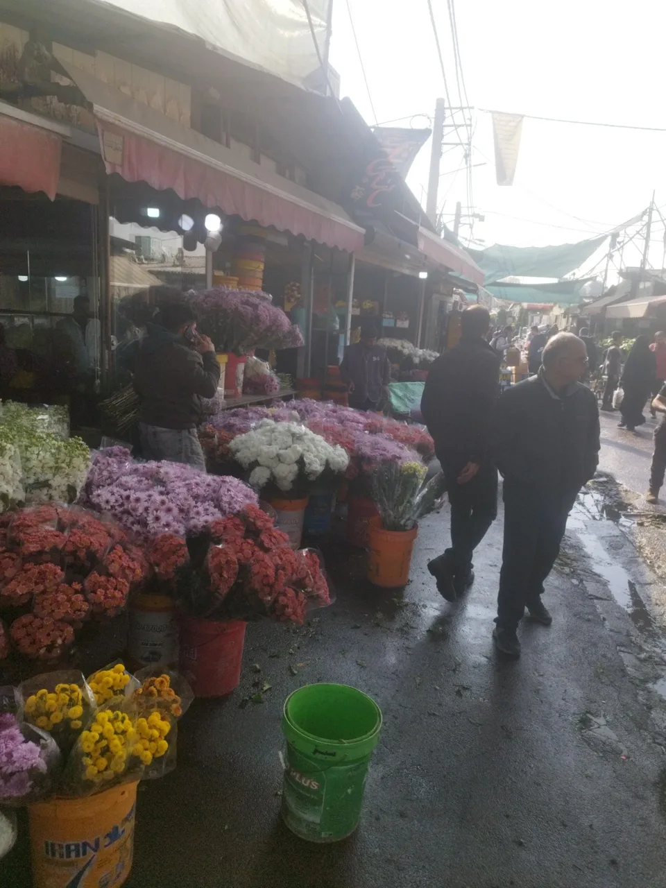 بازار گل محلاتی