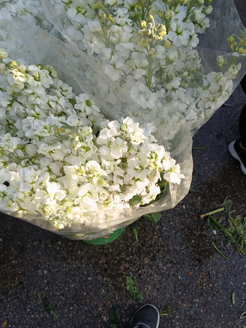 بازار گل محلاتی - تصویر 2