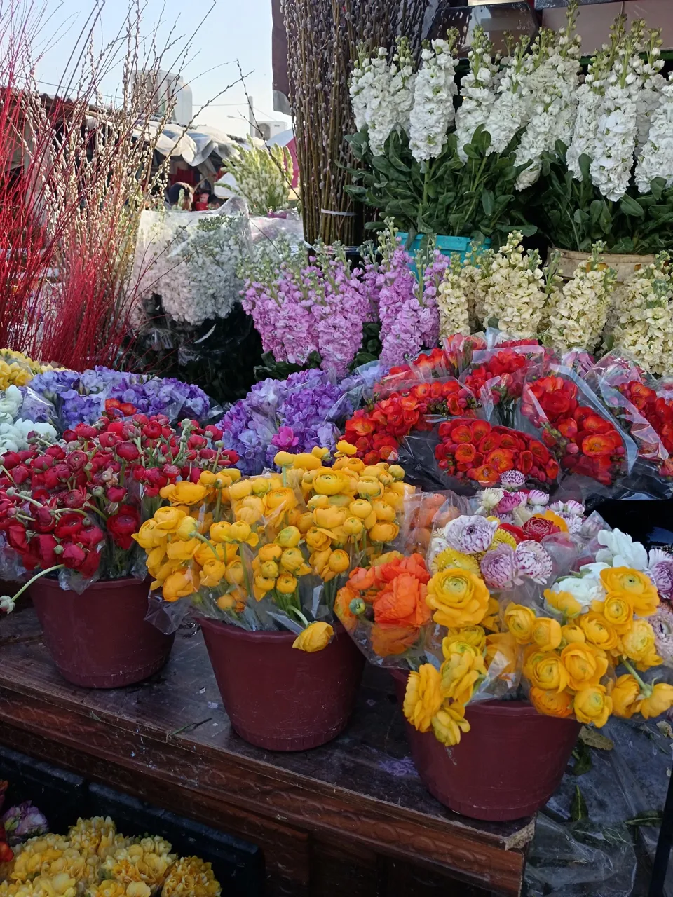 بازار گل محلاتی - تصویر 4