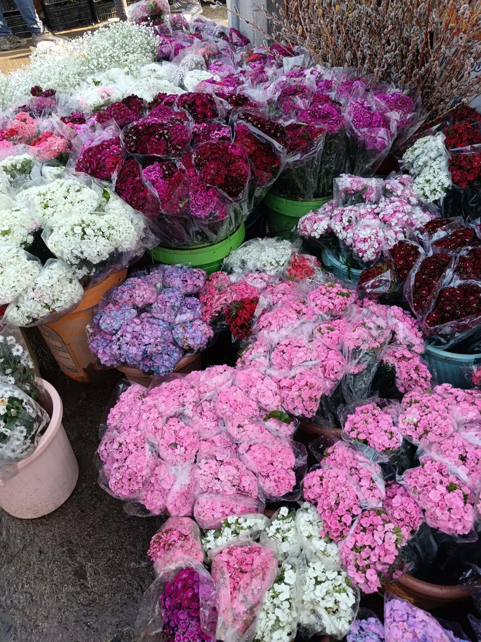 بازار گل محلاتی - تصویر 5