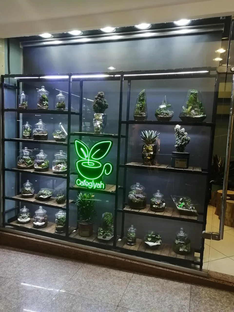 کافه گیاه - تصویر 3