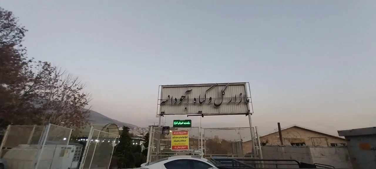 بازار گل آجودانیه - تصویر 4