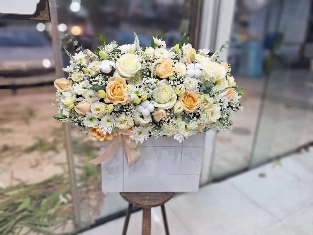 گل پینو - تصویر 2