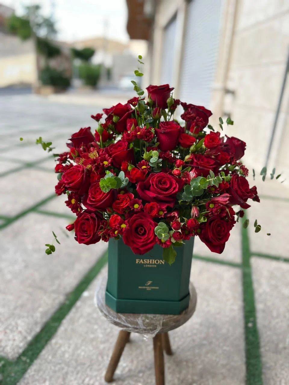 گل پینو - تصویر 4