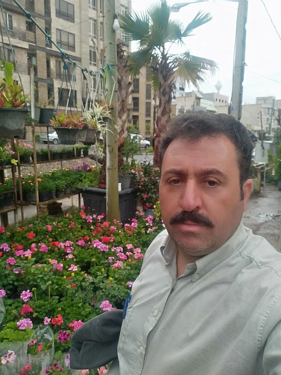 گل فروشی نگارسازان - تصویر 5
