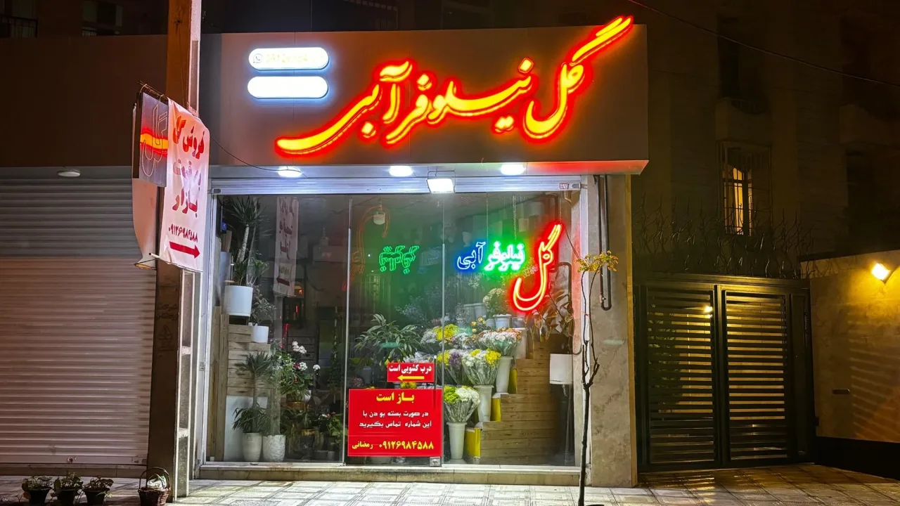 گل نیلوفر آبی - تصویر 2