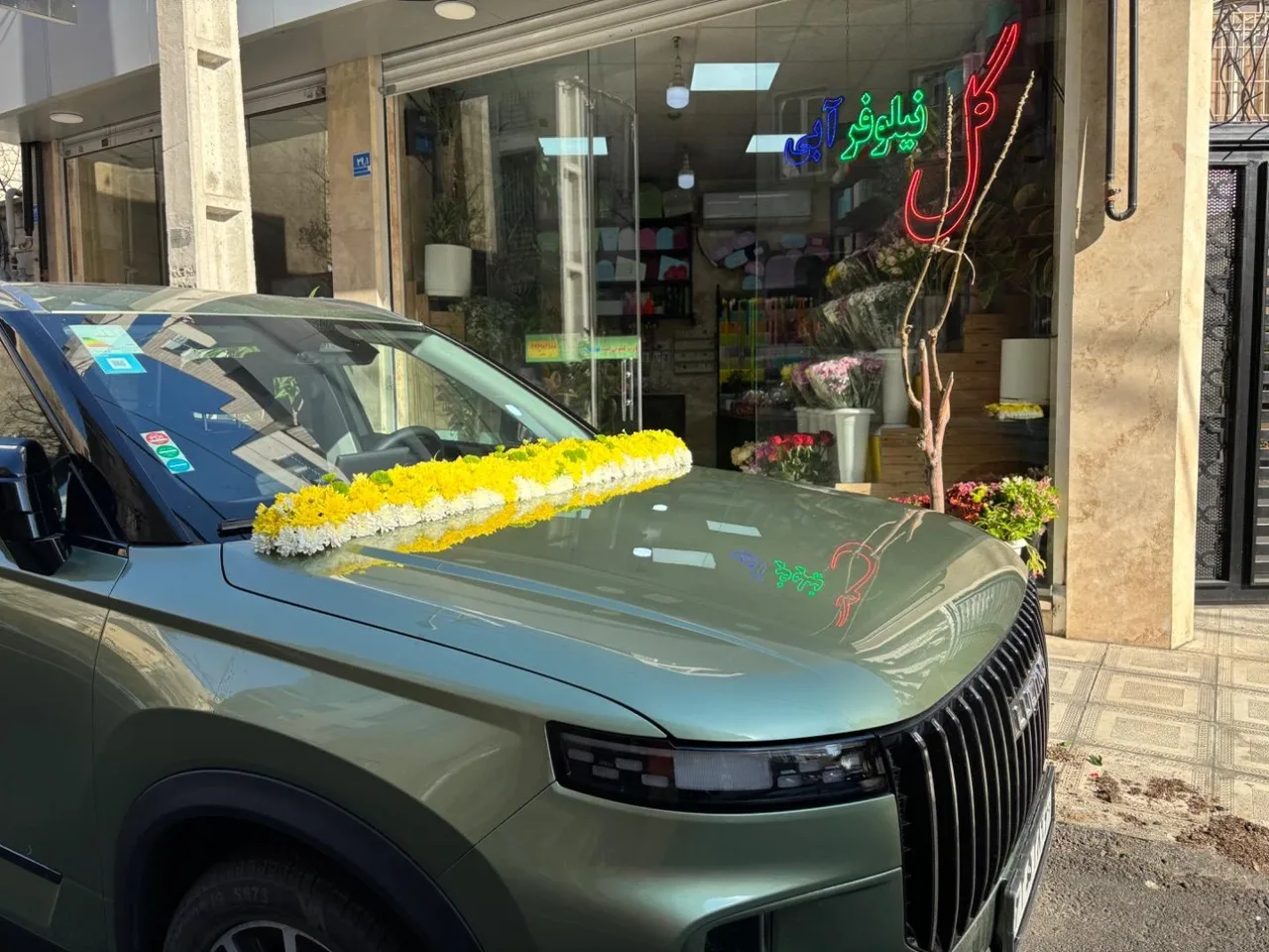 گل نیلوفر آبی - تصویر 3