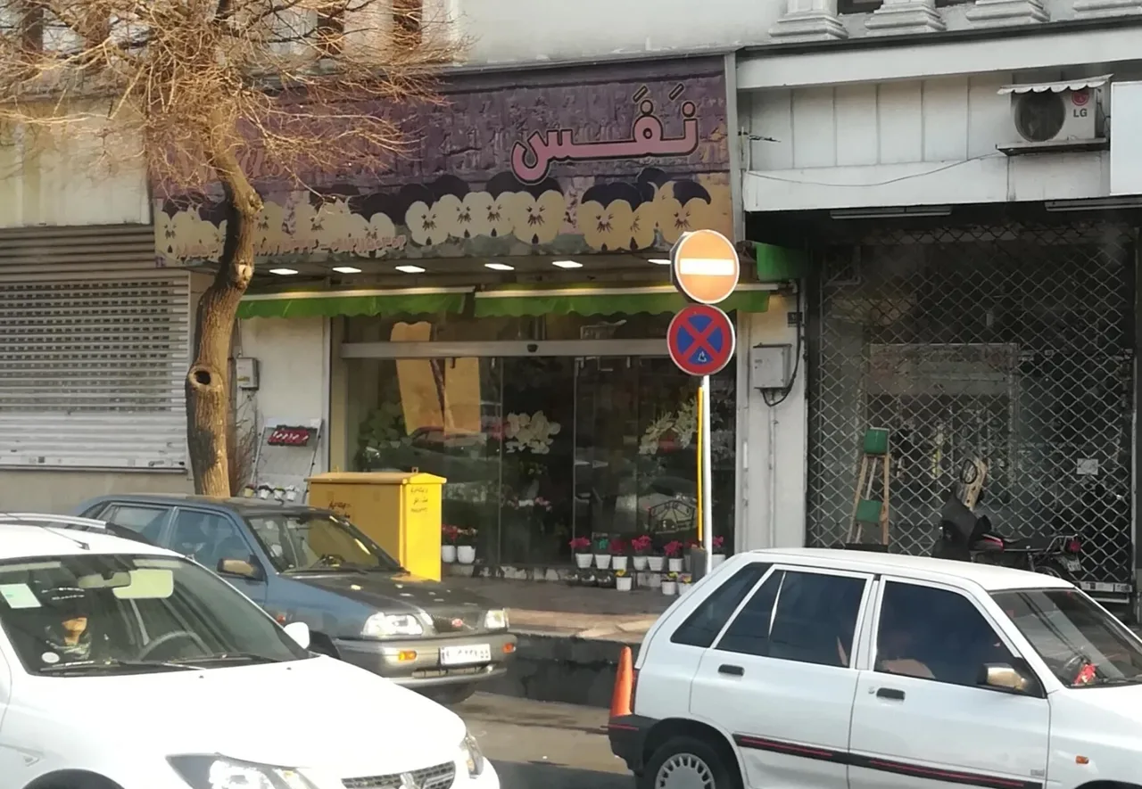 گل فروشی نفس - تصویر 2