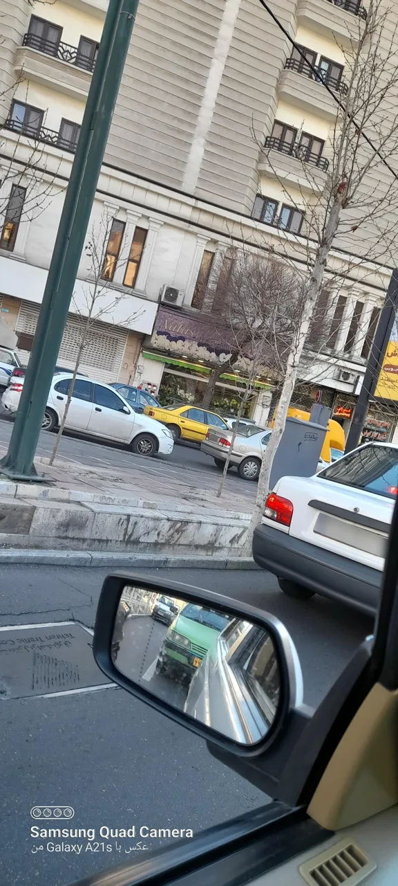 گل فروشی نفس - تصویر 3
