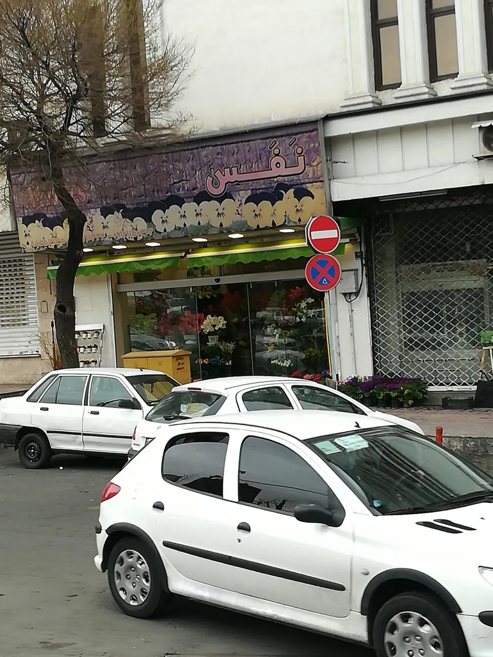 گل فروشی نفس - تصویر 5