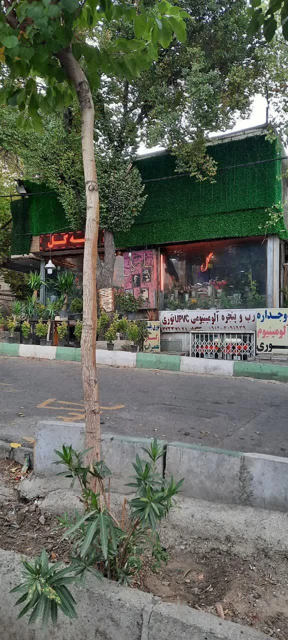گل فروشی خانه گل - گل‌فروشی در تهران - تصویر 2