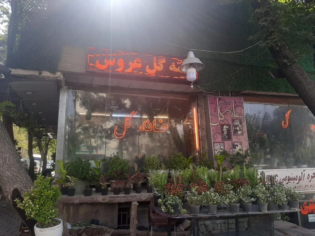 گل فروشی خانه گل - گل‌فروشی در تهران - تصویر 4