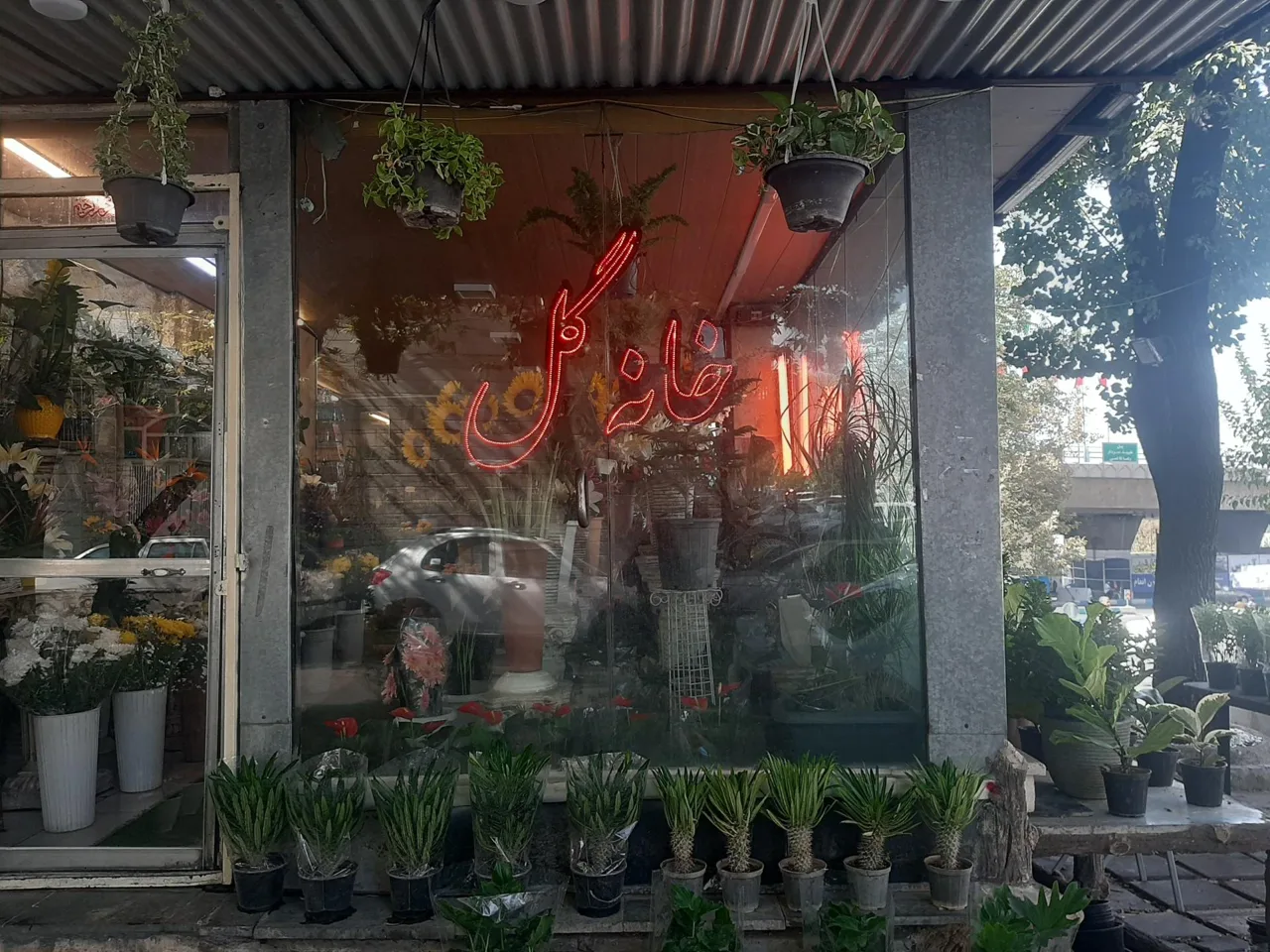 گل فروشی خانه گل - گل‌فروشی در تهران - تصویر 5