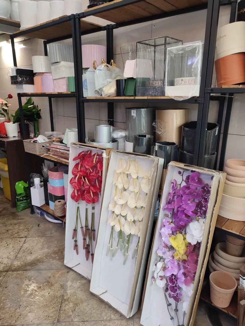 گل و گیاه ارغوان - تصویر 5