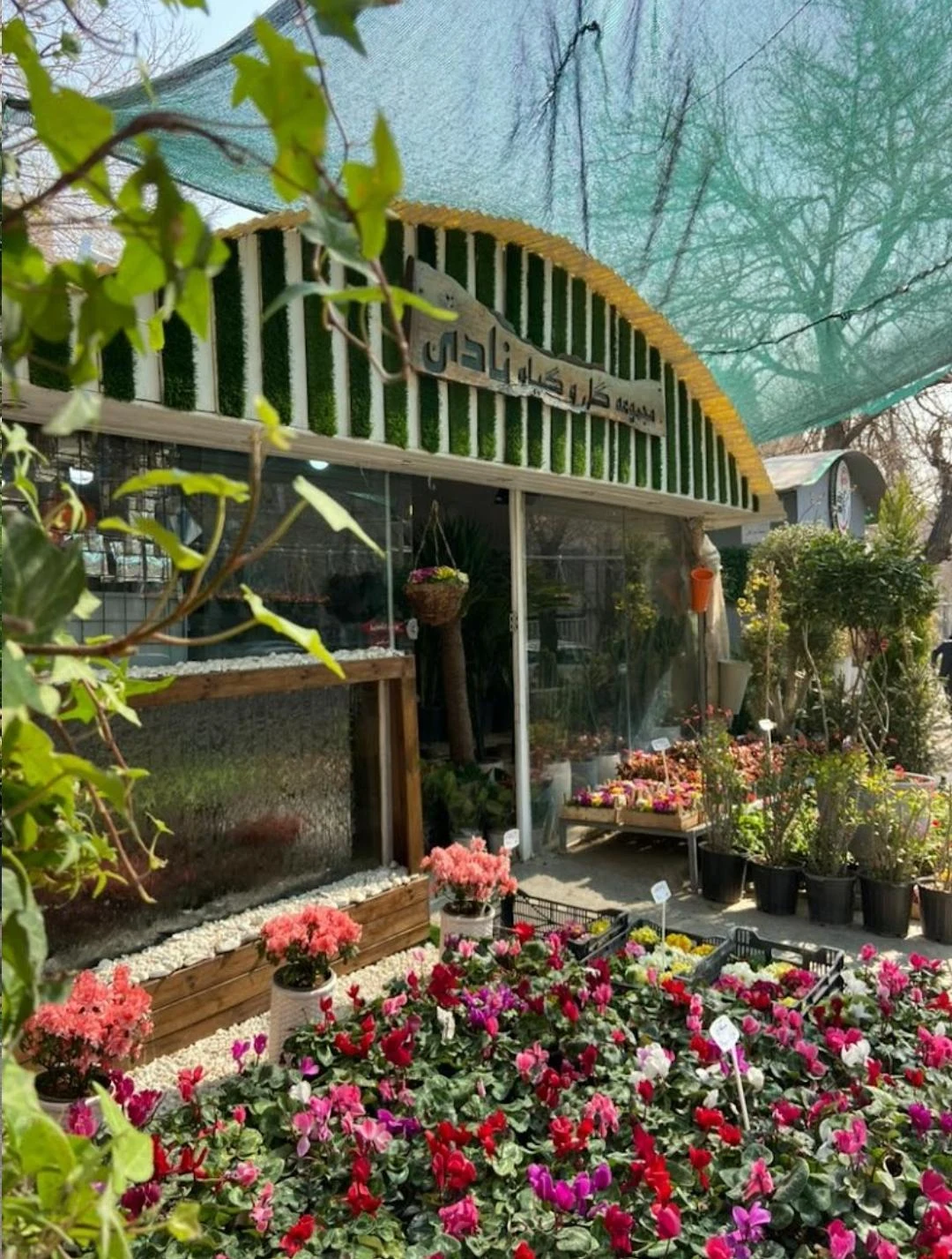 مجموعه گل و گیاه نادی