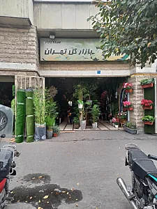 بازار گل تهران