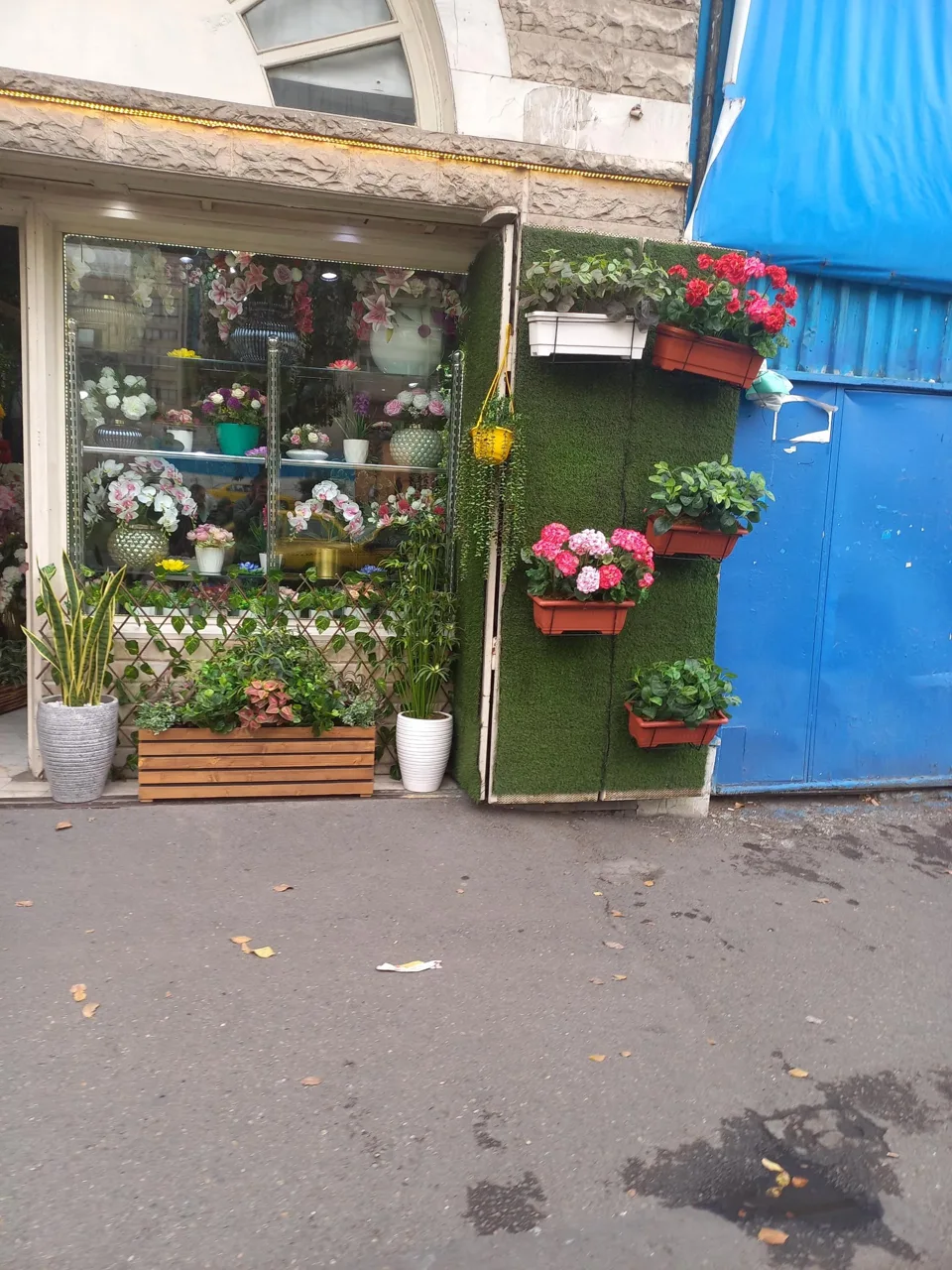 بازار گل تهران - تصویر 2