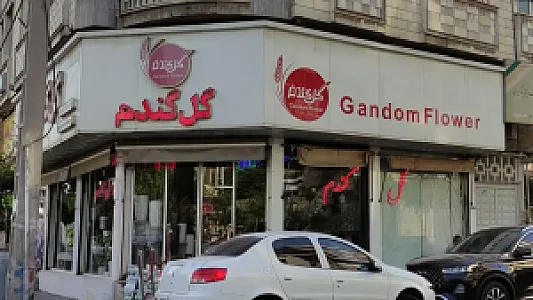 گل فروشی گل گندم