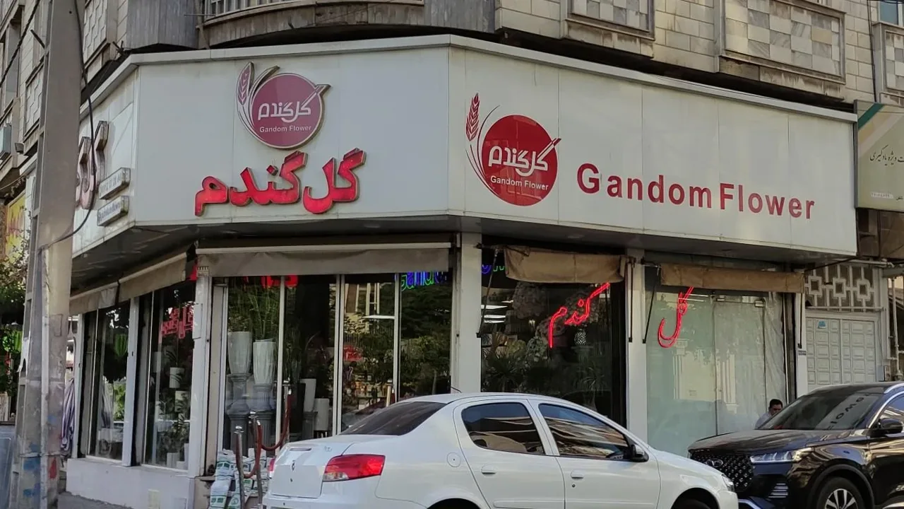 گل فروشی گل گندم