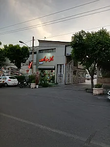 گل نرگس