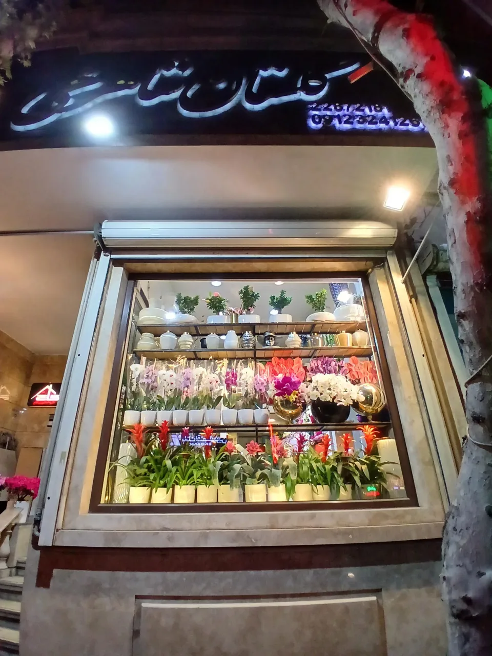 گلفروشی گلستان شاهرخی
