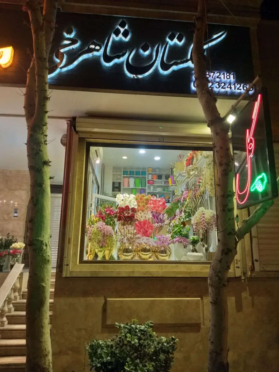 گلفروشی گلستان شاهرخی - گل‌فروشی در تهران - تصویر 2