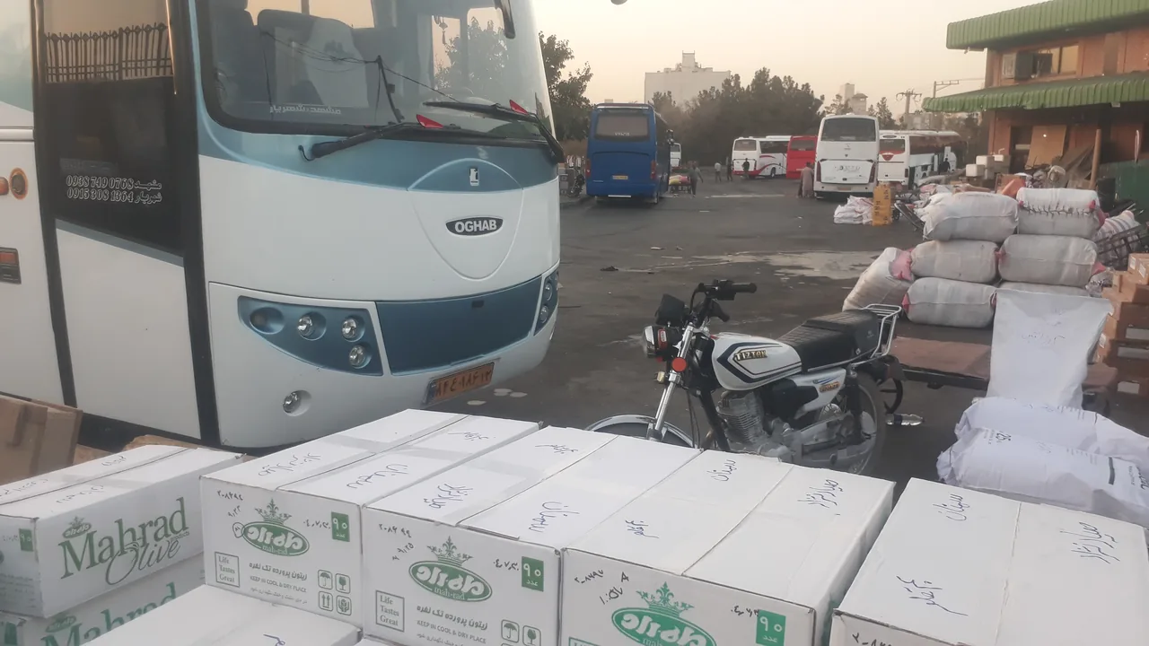 باربری کالابران پیک هما اتبوسی - تصویر 3