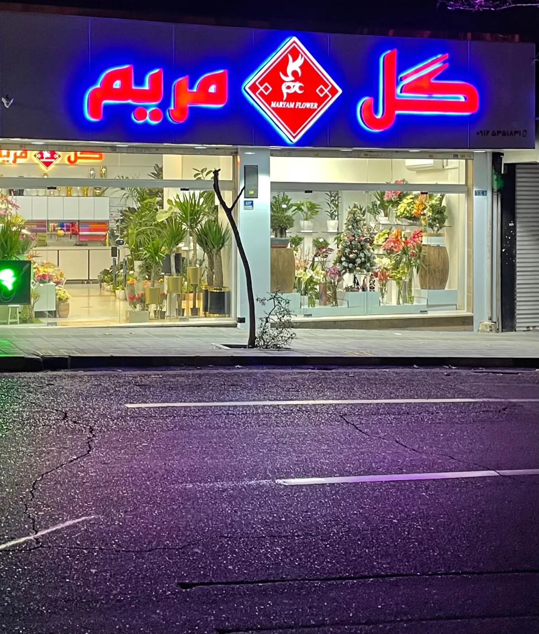 گلفروشی گل مریم - تصویر 5