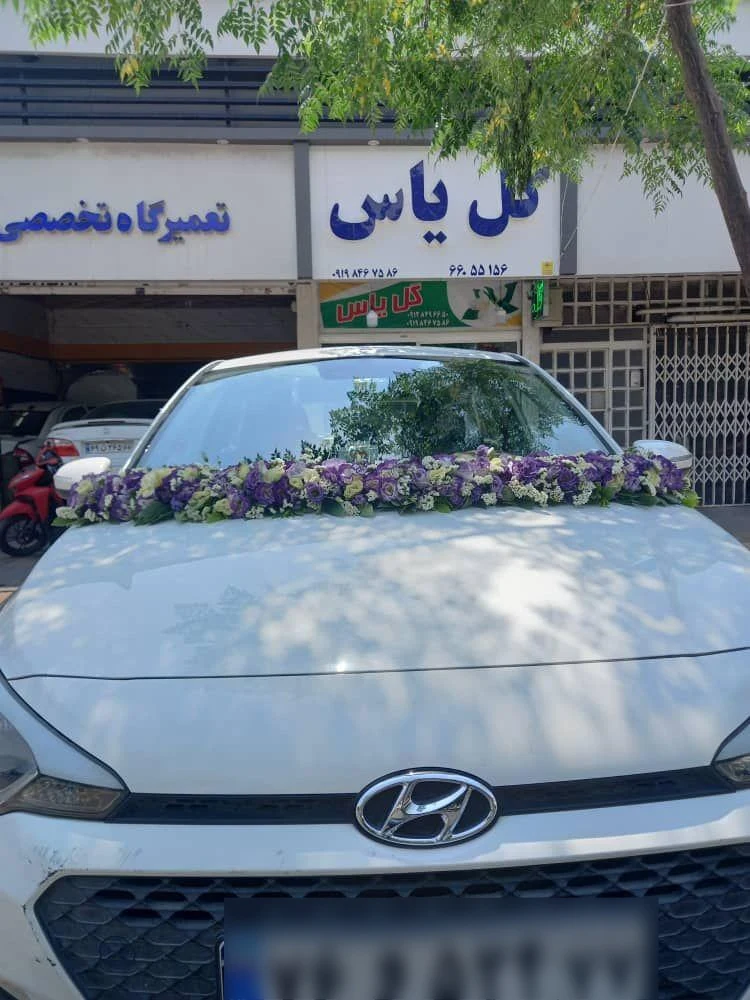 گل یاس - تصویر 3