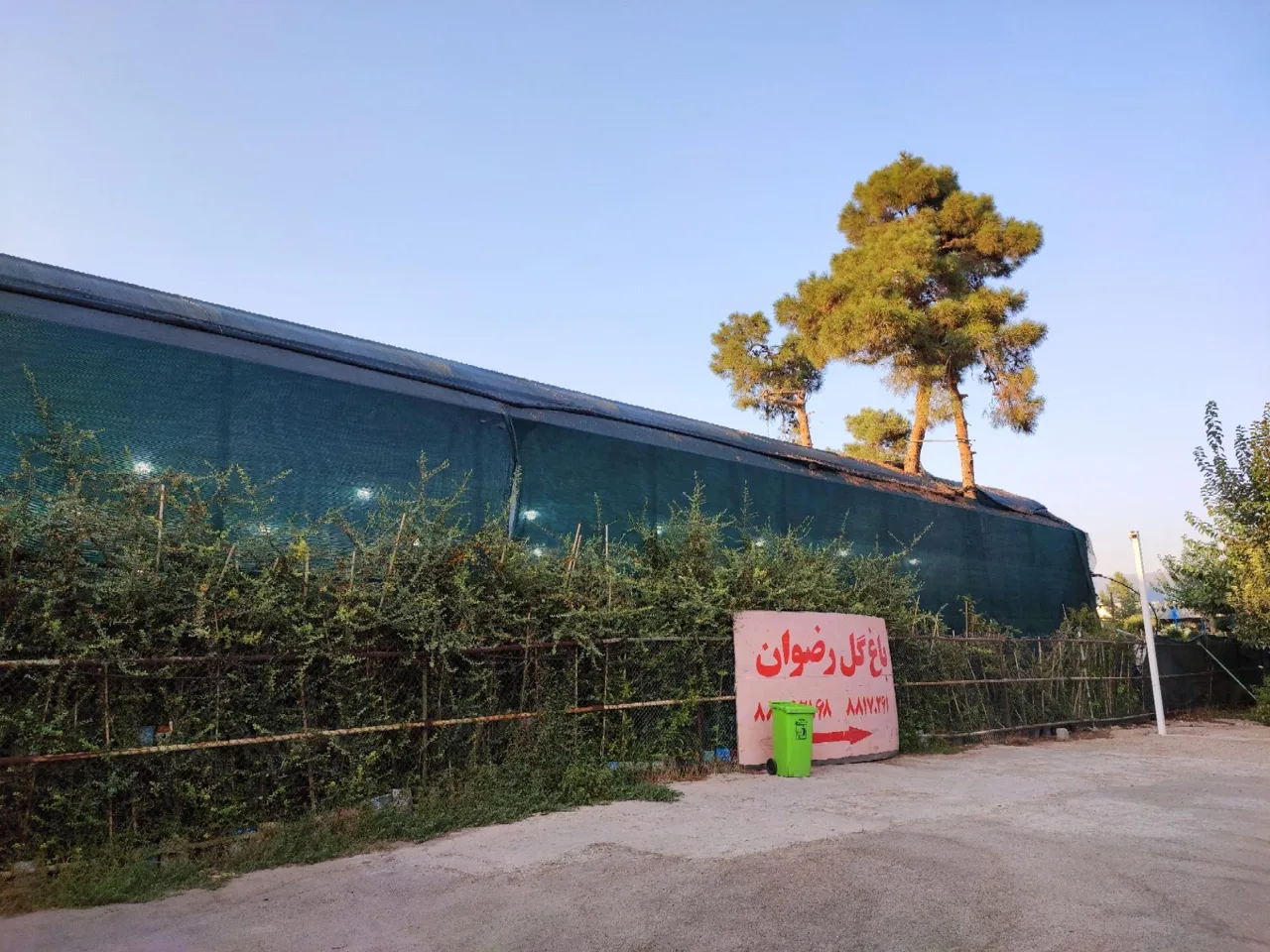 باغ گل رضوان - تصویر 2
