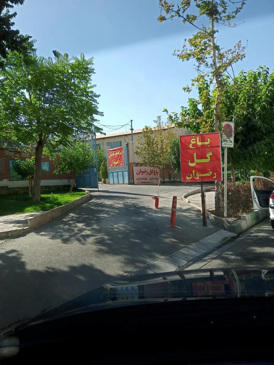 باغ گل رضوان - تصویر 3