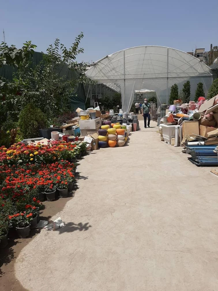 باغ گل رضوان - تصویر 4