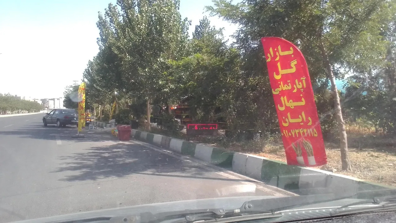 نهالستان رایان - تصویر 2