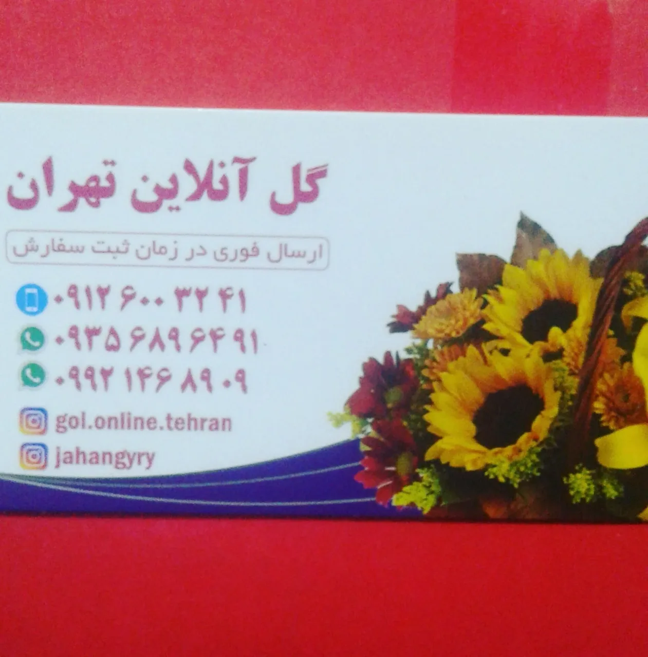 گل برکه - تصویر 3