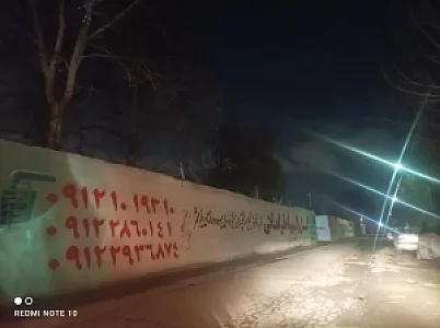 گل و گیاه امیدفراهانی
