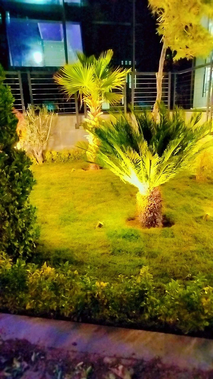 صنعت گل و گیاه کشاری - تصویر 5
