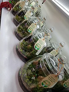 گل فروشی گرین آمازون