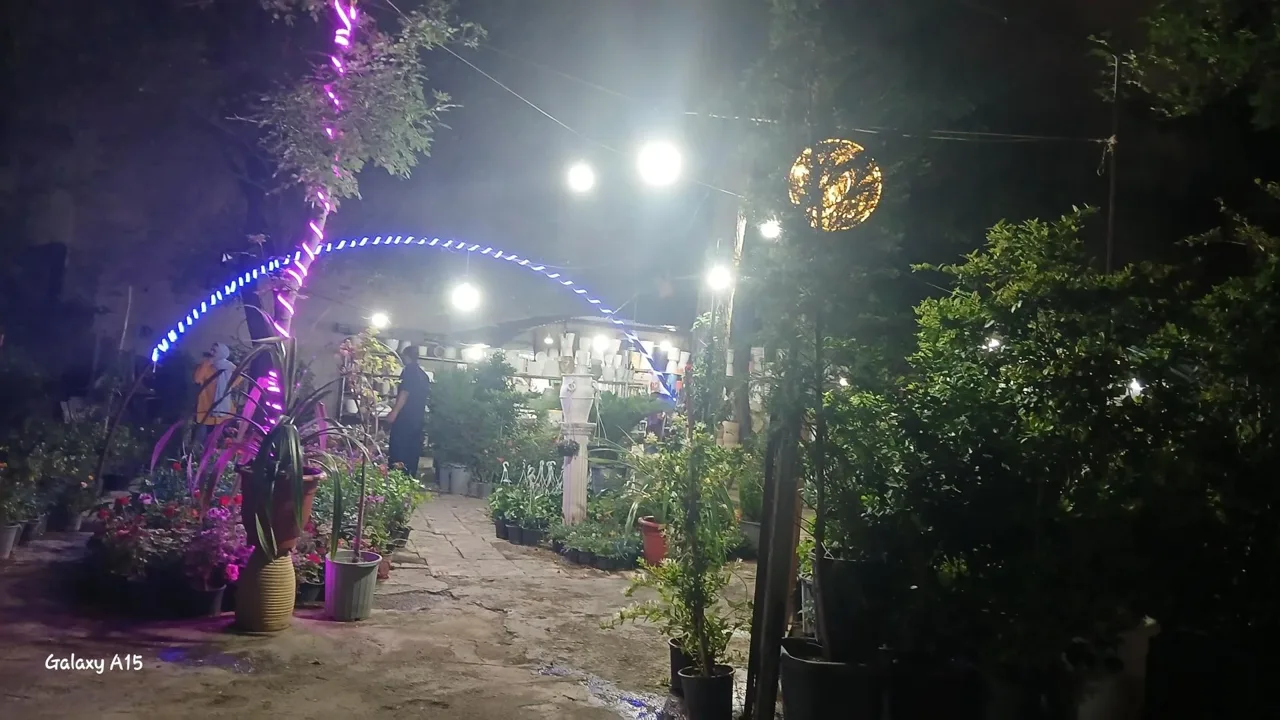 گل و گیاه تهرانپارس - تصویر 2
