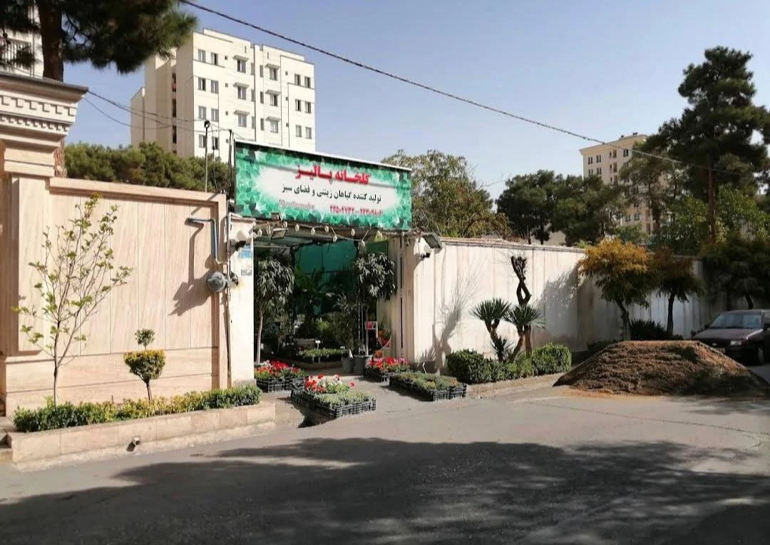 گلخانه پالیز