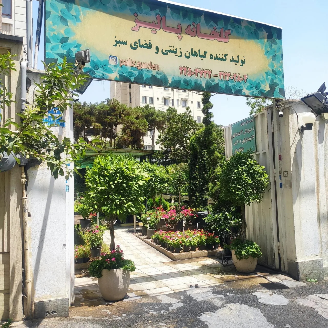 گلخانه پالیز - تصویر 2