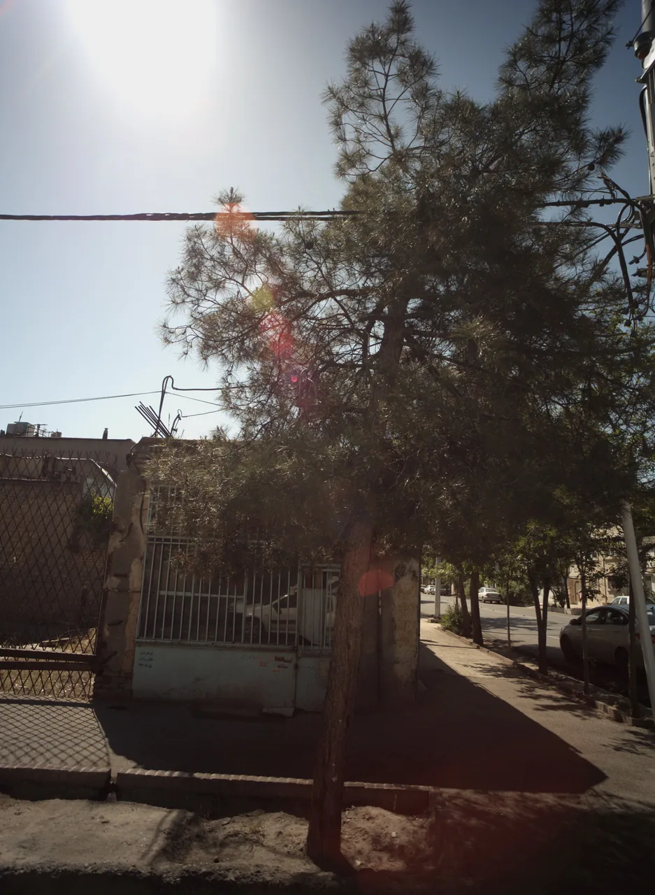اتو بار ترن
