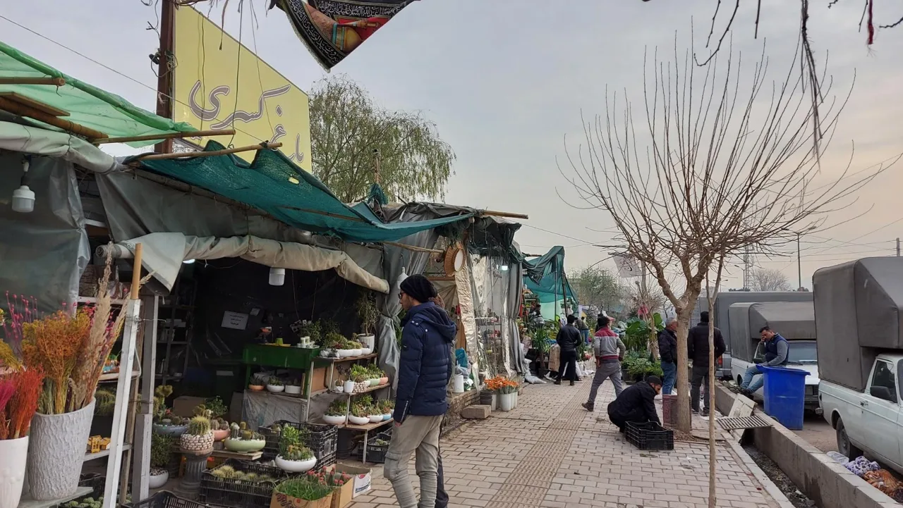 باغ کسری - تصویر 2