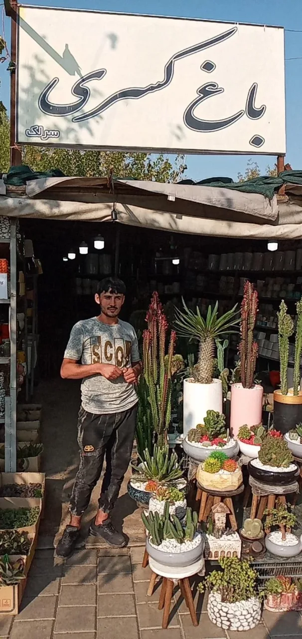 باغ کسری - تصویر 3