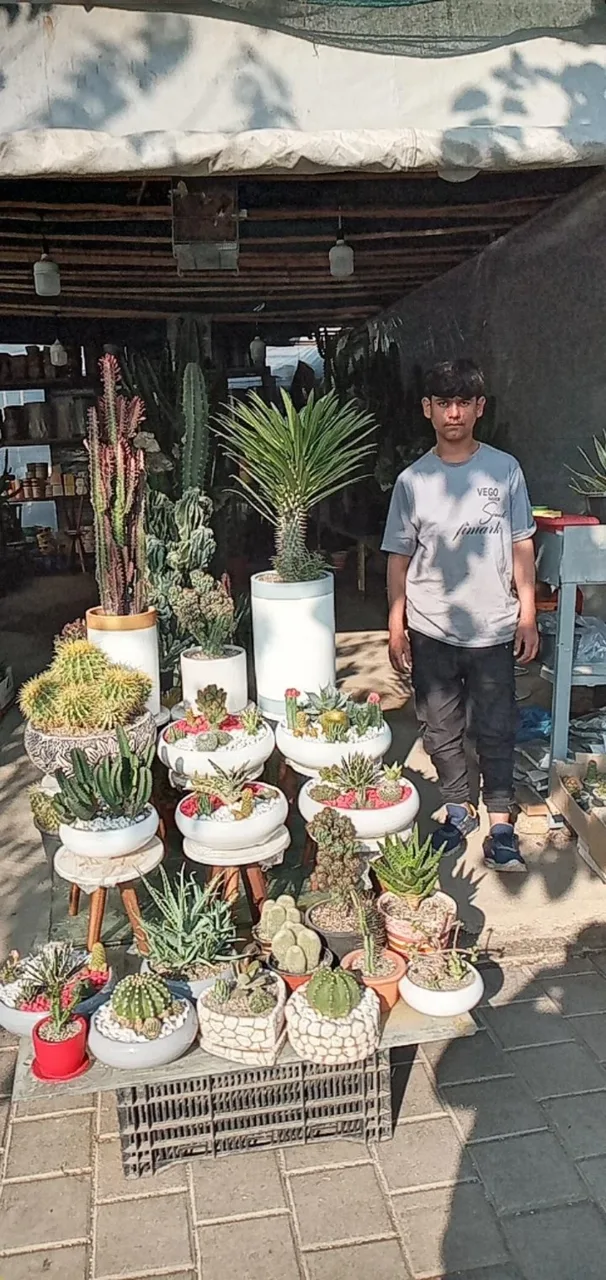 باغ کسری - تصویر 4