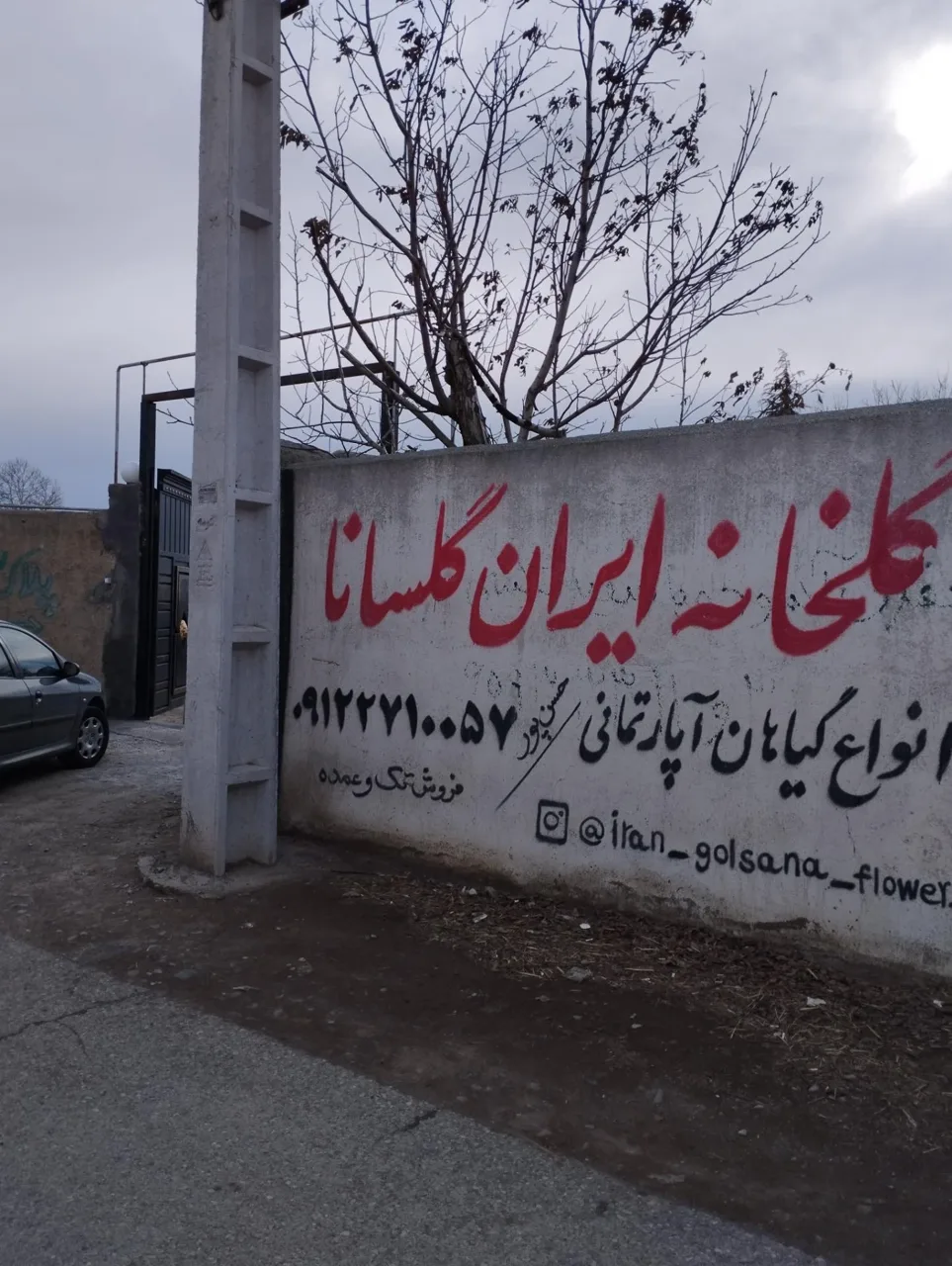 گلخانه ایران گلسانا - گل و گیاهان زینتی در تهران - تصویر 3