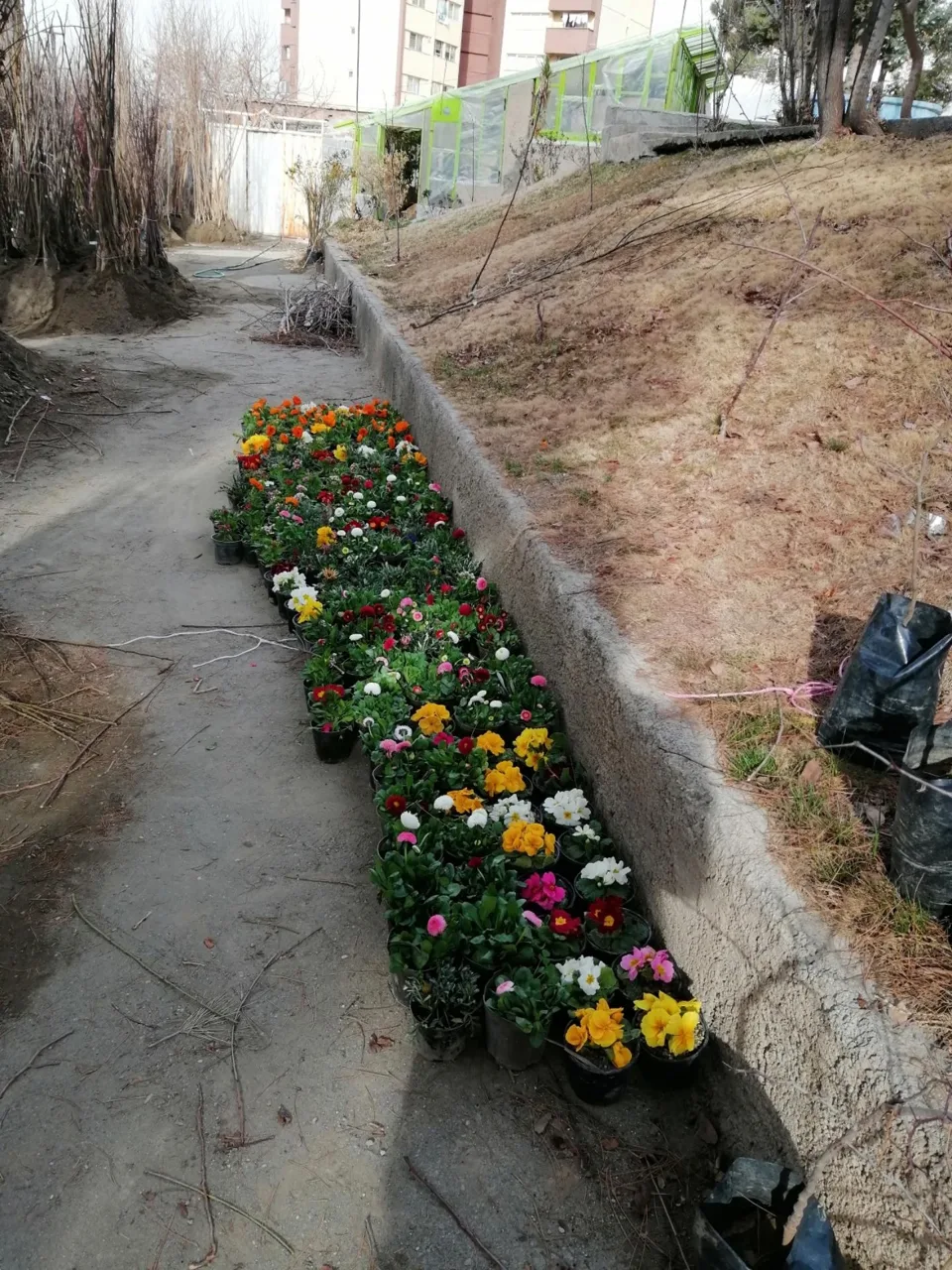 نهالستان آریا نهال - تصویر 4