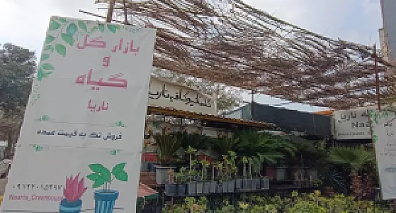 فروشگاه گل و گیاه ناریا