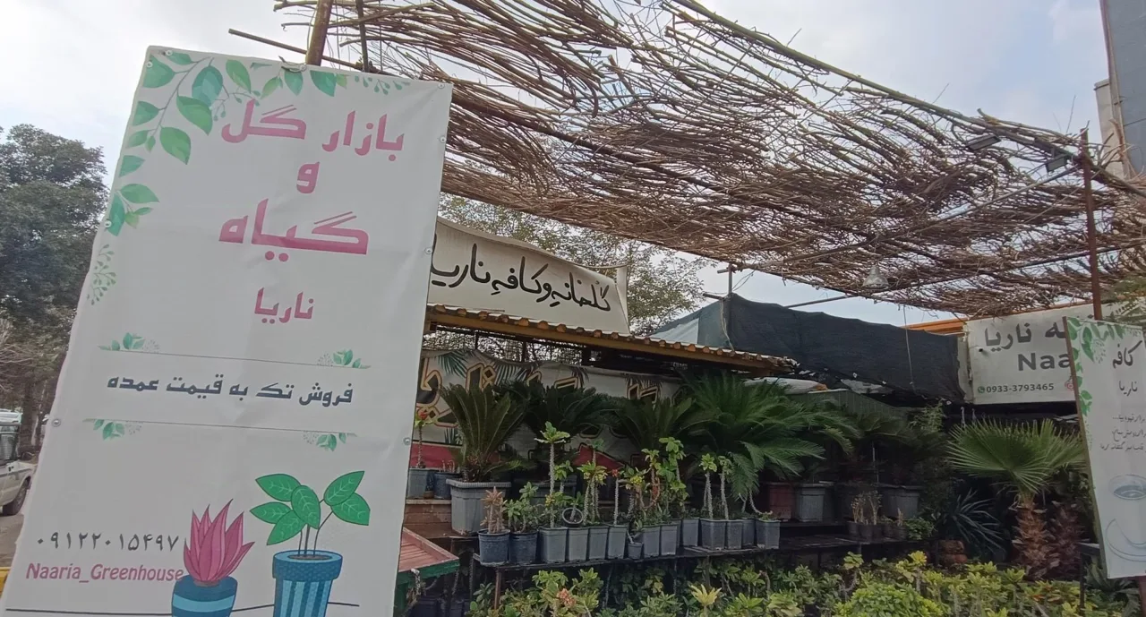 فروشگاه گل و گیاه ناریا