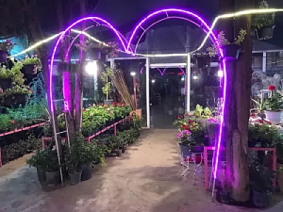 گلخانه برخورداری